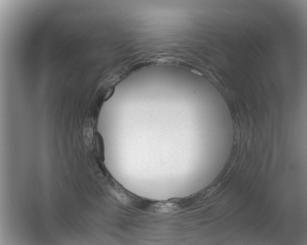X0000062600427200512210915