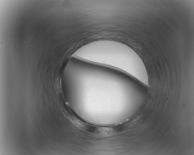 X0000062600429200512210915