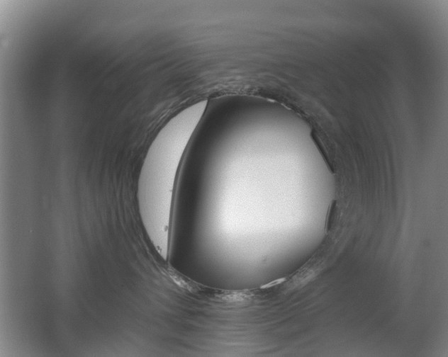 X0000062600432200512210915