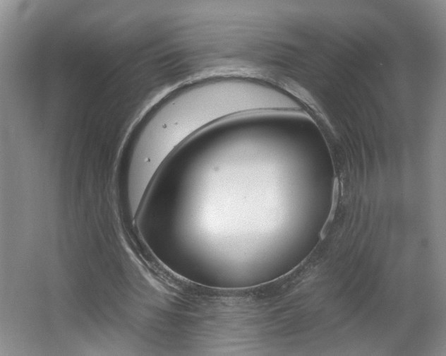 X0000062600436200512210914