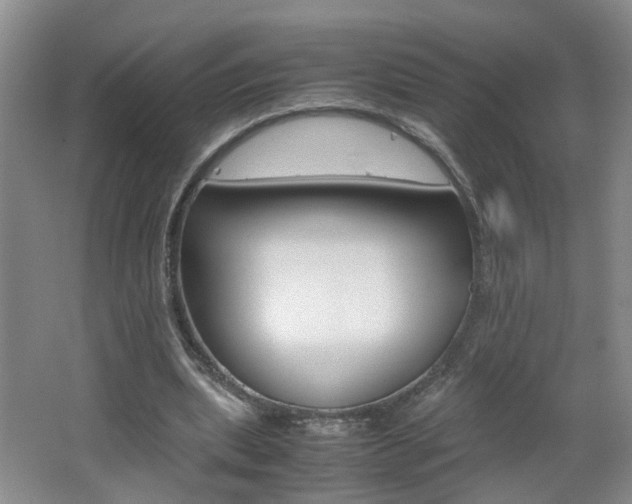 X0000062600439200512210915