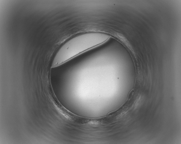 X0000062600441200512210915