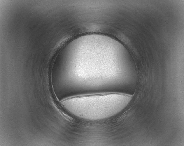 X0000062600442200512210915