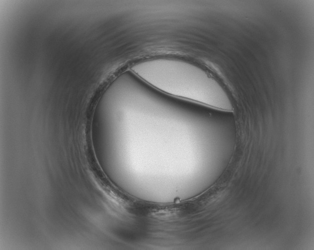 X0000062600447200512210915