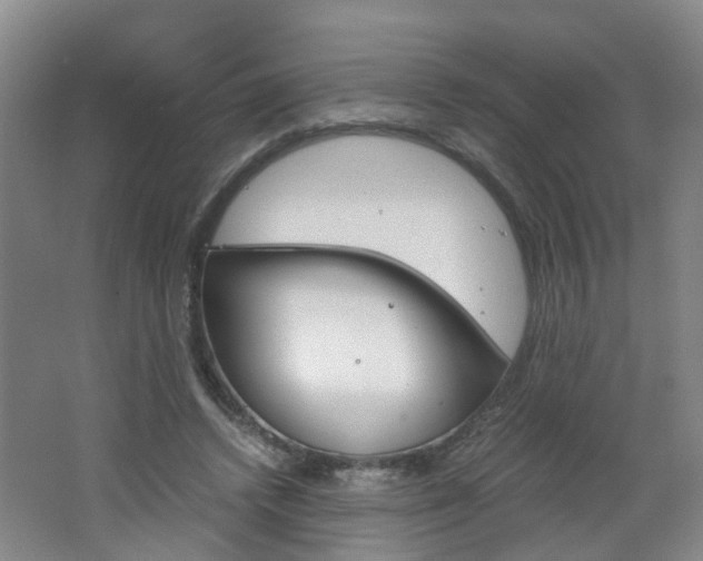 X0000062600448200512210915