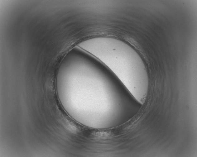 X0000062600449200512210915