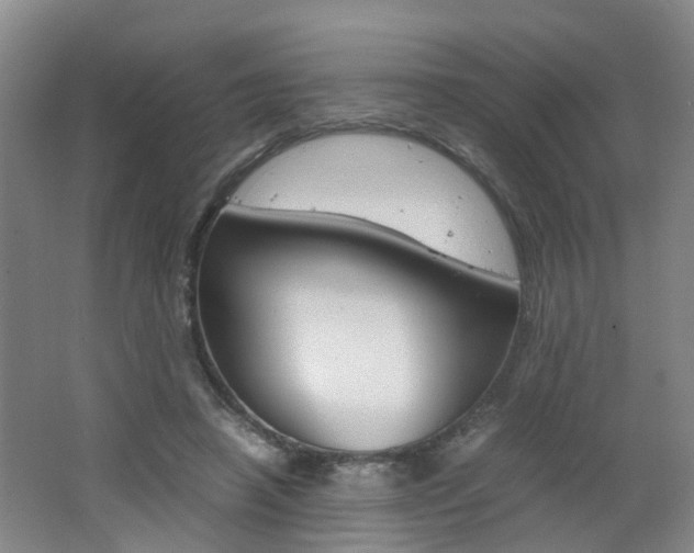 X0000062600450200512210915