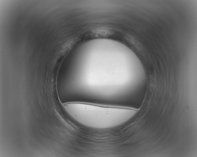 X0000062600451200512210915