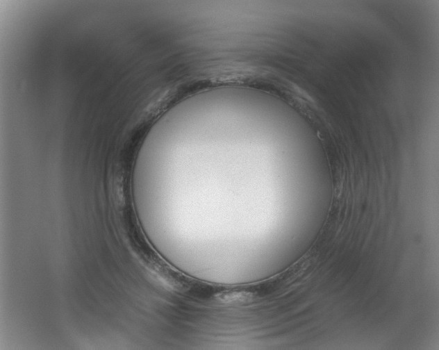 X0000062600452200512210915