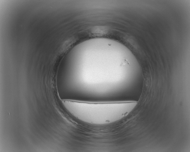 X0000062600455200512210915