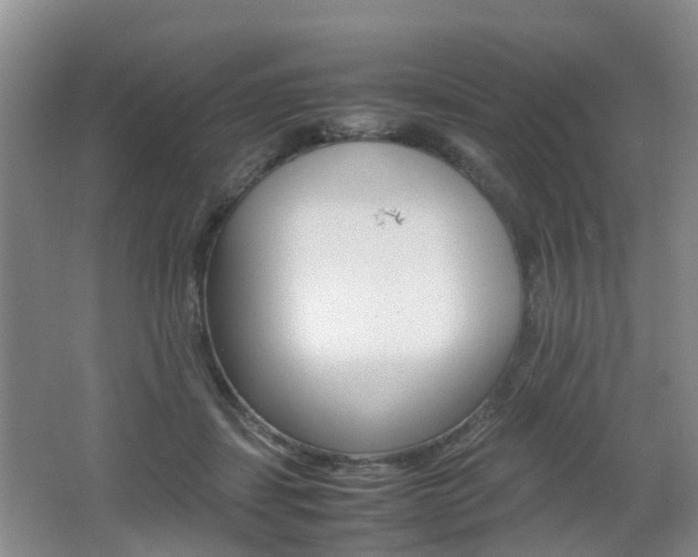 X0000062600459200512210915