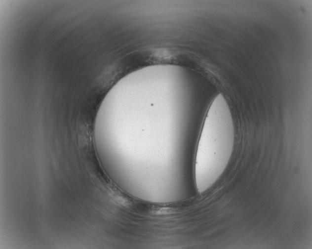 X0000062600467200512210915