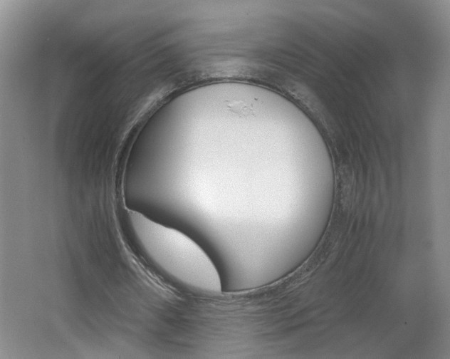 X0000062600482200512210914