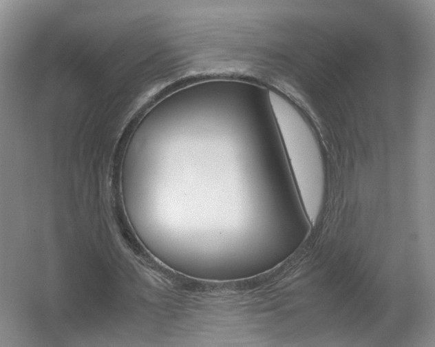 X0000062600483200512210914