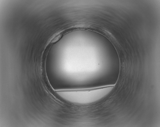 X0000062600484200512210914