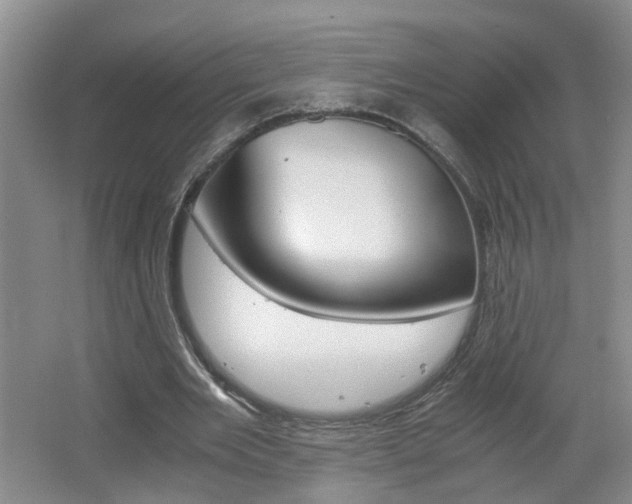 X0000062600485200512210914