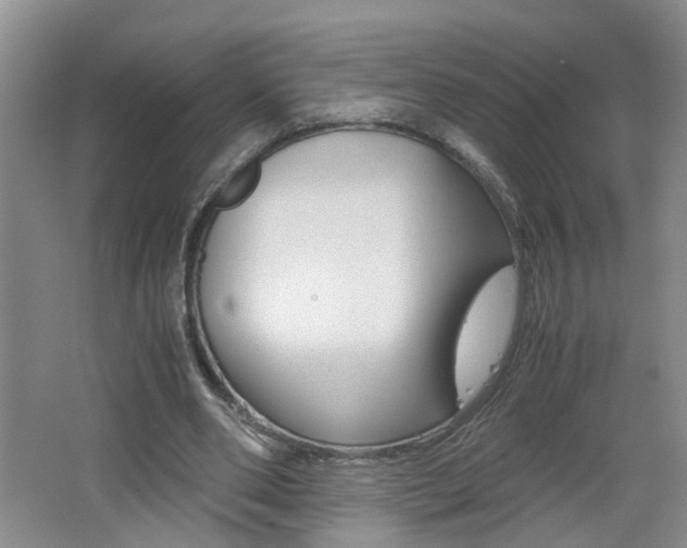 X0000062600486200512210914