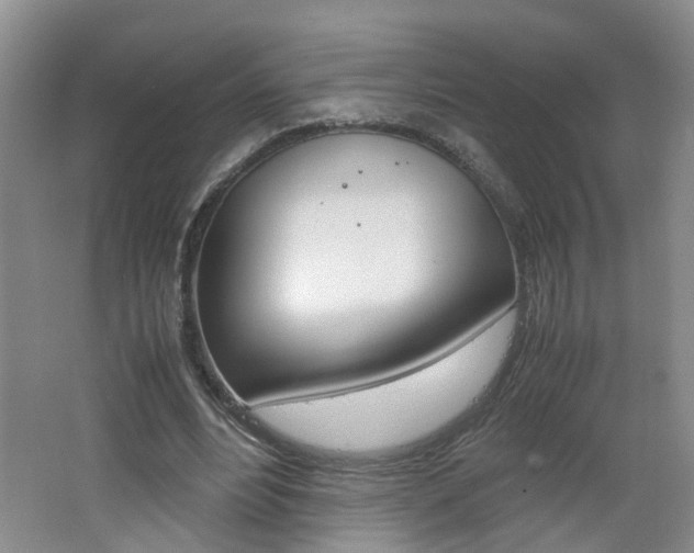 X0000062600488200512210914