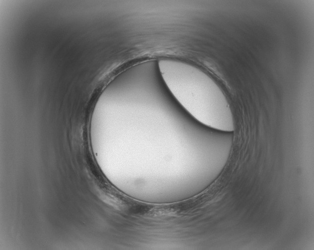 X0000062600491200512210914