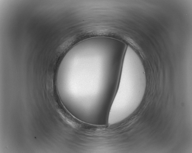 X0000062600493200512210914
