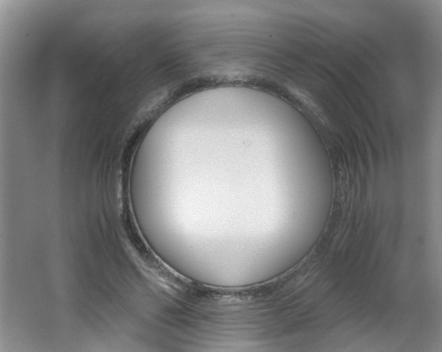 X0000062600494200512210914