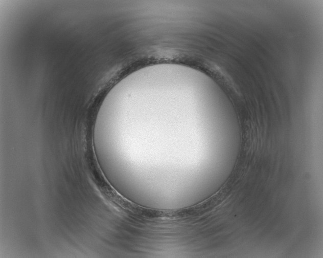 X0000062600496200512210914