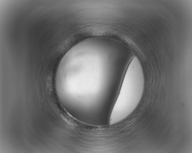 X0000062600497200512210914