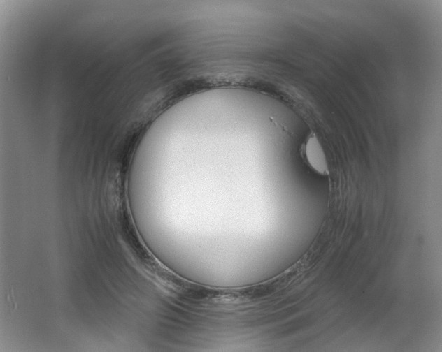 X0000062600498200512210914