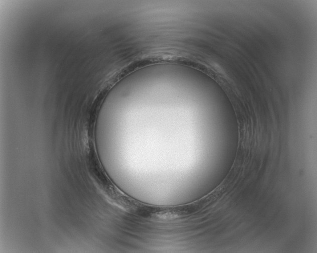 X0000062600500200512210914