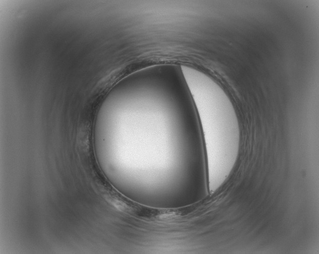 X0000062600505200512210914