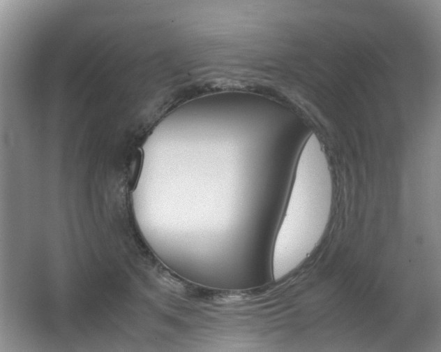 X0000062600513200512210914