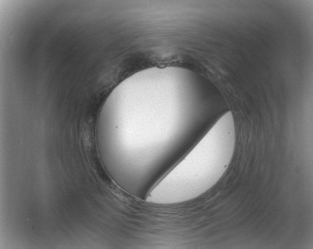 X0000062600515200512210914