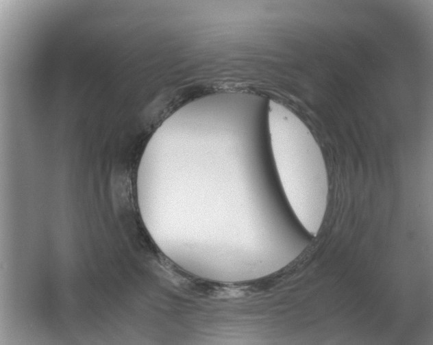 X0000062600523200512210914