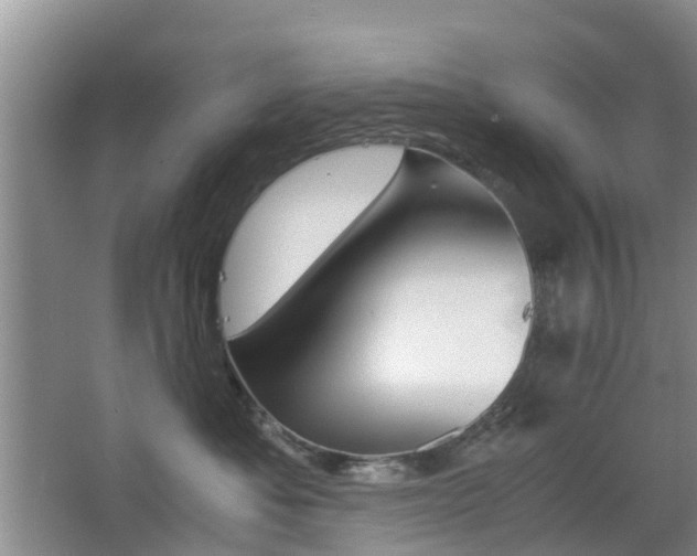 X0000062600525200512210914