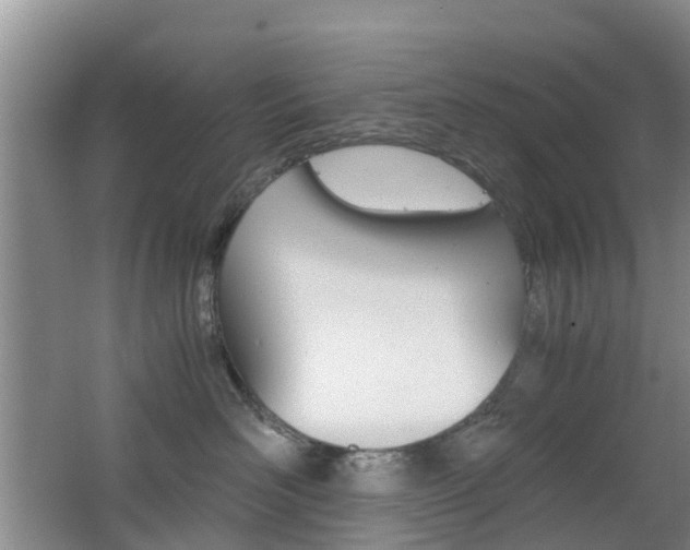 X0000062600526200512210914