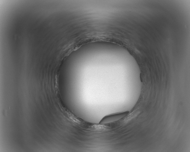 X0000062600528200512210914