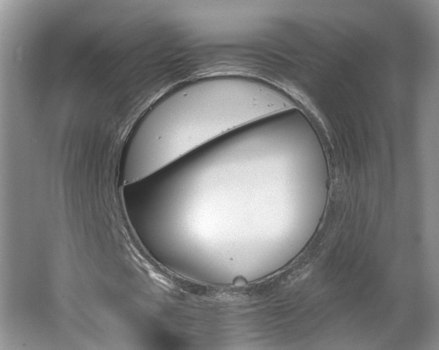 X0000062600529200512210913