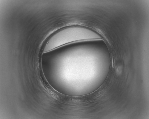 X0000062600531200512210913