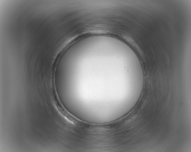 X0000062600533200512210913