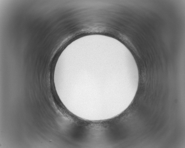 X0000062600534200512210913