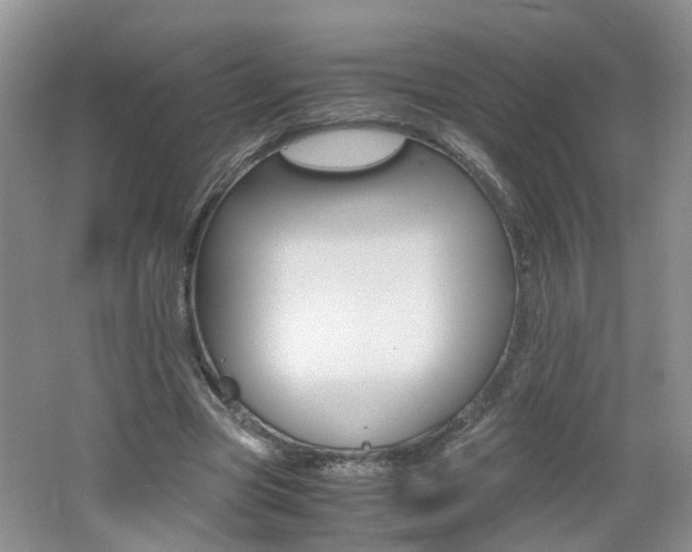 X0000062600537200512210913