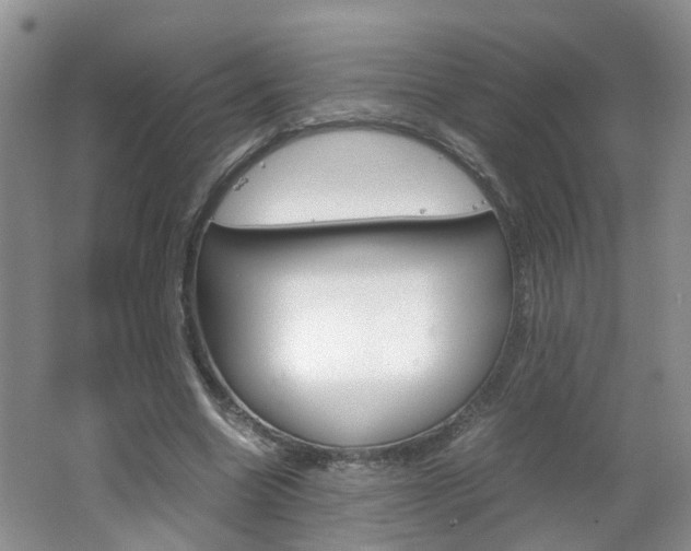 X0000062600538200512210913