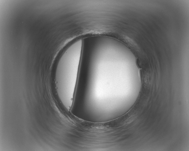 X0000062600540200512210913