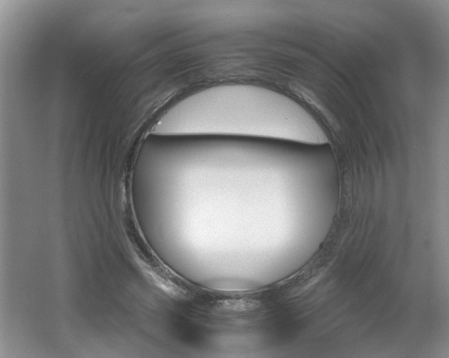X0000062600541200512210913