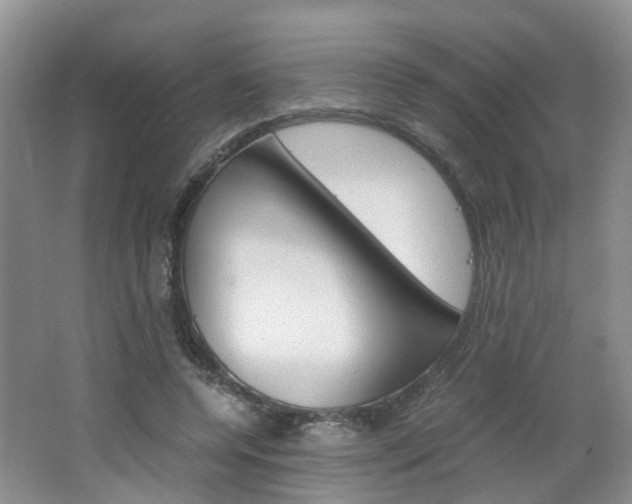 X0000062600544200512210913