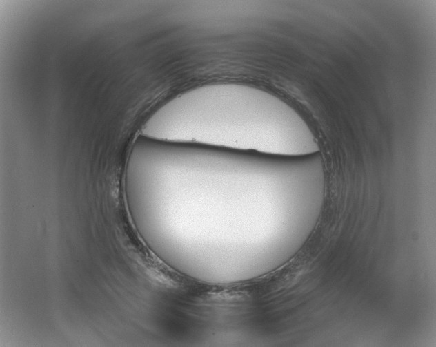 X0000062600545200512210913