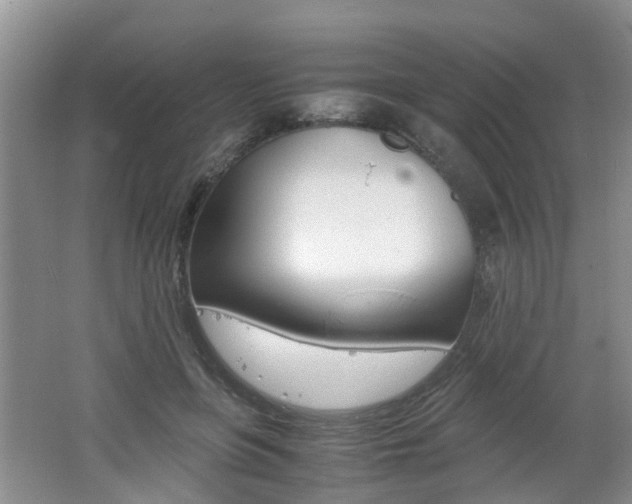 X0000062600551200512210913