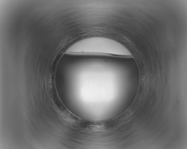 X0000062600552200512210913