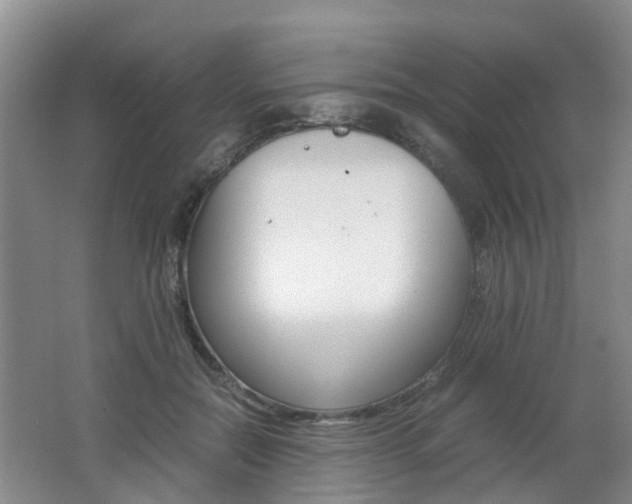 X0000062600554200512210913