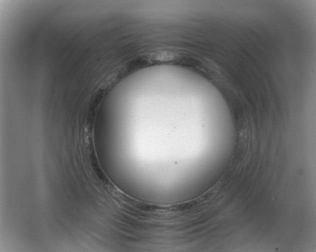 X0000062600555200512210913